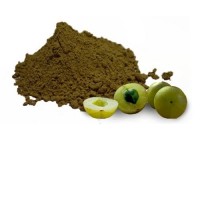 Best Quality Amla Fruit Powder from India