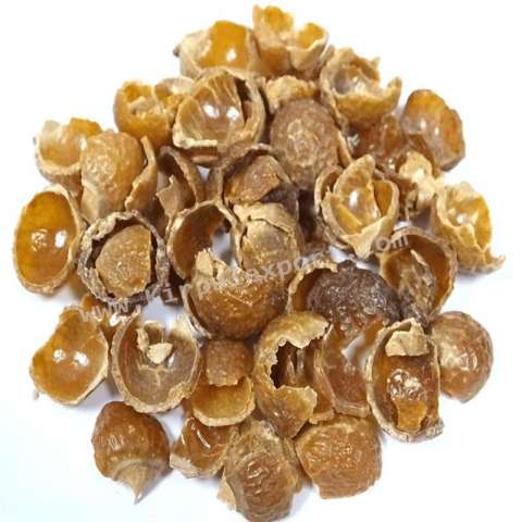 Natural Herbal Real Triple Refined Dried Extract Reetha Fruit Powder Supplier Manufacturer